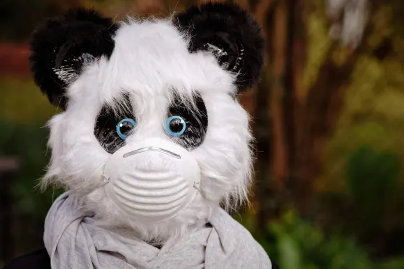 HeySpin Casino Tacaíocht